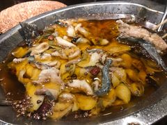招牌水煮鱼-川旺角川粤融合菜•海景餐厅(星海广场店)