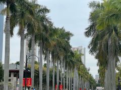 -厦门大学(思明校区)