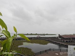 -新木器时代餐厅(太湖新天地店)