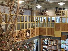 -Cafe Alice咖啡爱丽丝(奥城店)