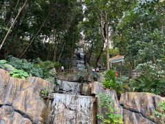 -广州市流溪河国家森林公园