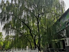 -莲湖公园