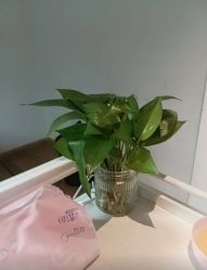 -Dr.林醫生产后修复·配方产康店(南京大厂店)