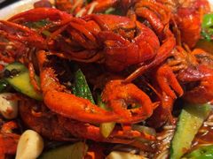 -京悦南门涮羊肉·羊蝎子火锅(田林路店)