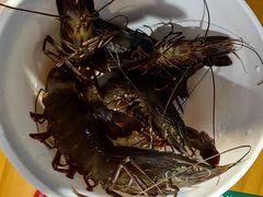 -养牛邓·潮汕牛肉海鲜自助火锅(广州店)