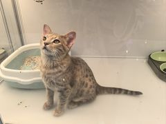-昆山招商花园城