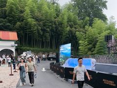 -莫干山风景区