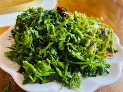 -王村姑老土炕莜面村(张北店)