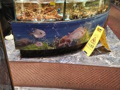 -食鼎记海鲜大排档(美食街店)