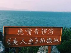 -杨梅坑