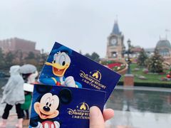 -上海迪士尼度假区