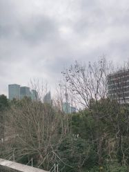 -上海首尔丽格医疗美容医院