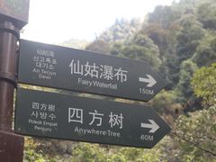 -姑婆山旅游区
