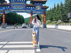 -塞罕坝国家级自然保护区