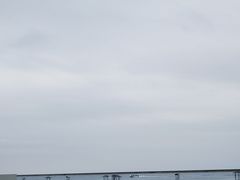 -碧海金沙