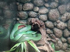 -深圳野生动物园