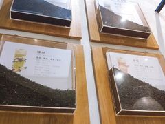 -喜茶(深圳福田星河COCO Park店)