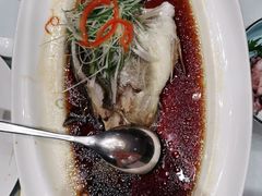 -沪碟·精菜坊(闵行店)