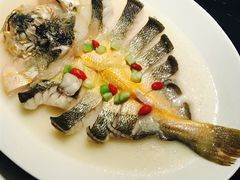 米汤浸东海大黄鱼-炳胜品味(海印总店)