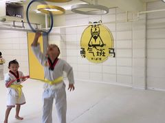 -勇气斑马·巴西柔术&跆拳道(浦东三林店)