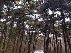 -棋盘山风景区
