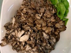 舞茸菌-海底捞火锅(九久奥特莱斯店)
