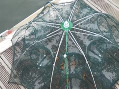 -千岛湖希尔顿休闲艇俱乐部