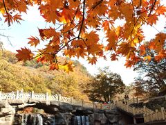 -关门山森林公园