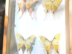 -正佳雨林生态植物园