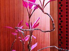 -二酉书店TOYOU BOOKS