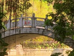 -小洲村