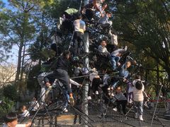 -宁波儿童公园(鄞州区)