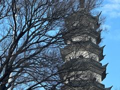 -苏州上方山国家森林公园