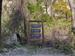 -大岭沟猕猴桃谷风景区