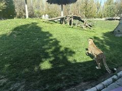 -北京野生动物园