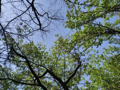 -长白岛森林公园