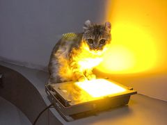 -极木²邸 人与宠物·互动社区