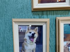 -严国平动物医院(德政总院)