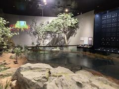 -北京周口店北京人遗址博物馆