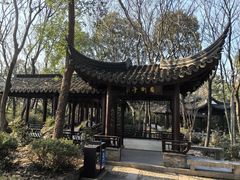 -上海佘山国家森林公园天马山园