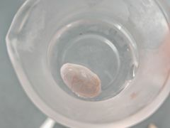 -沪依小酒馆心意菜