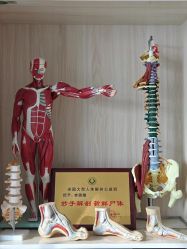 -康舒普拉提工作室control pilates