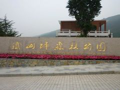 -铁山坪森林公园