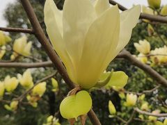 -白塘生态植物园