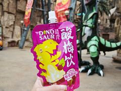-中华恐龙园