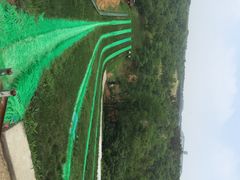 青松岭森林公园-东海森林温泉