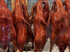 -顺城金记卤鸡·清真