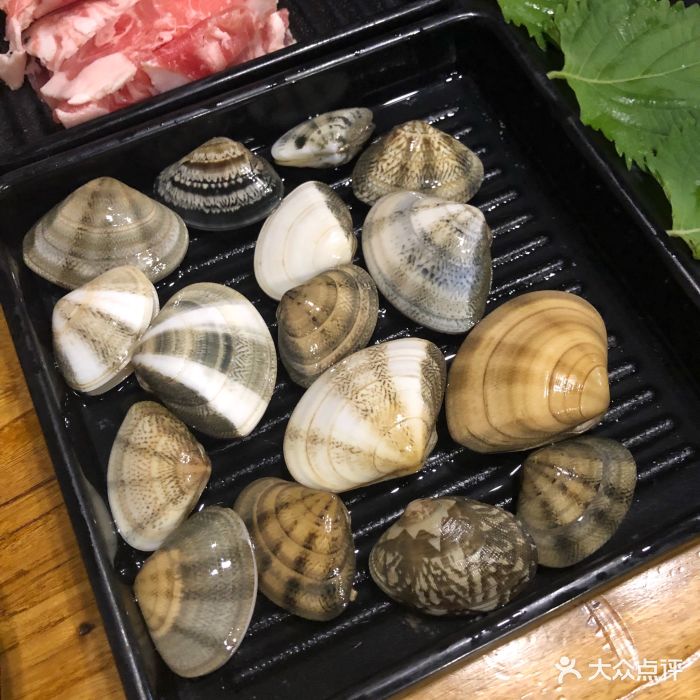 喜爷·打边炉·海鲜火锅七彩贝图片 - 第1274张