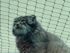 -青藏高原野生动物园