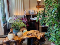 -慢丽江·云南野生菌土鸡锅(付家庄店)